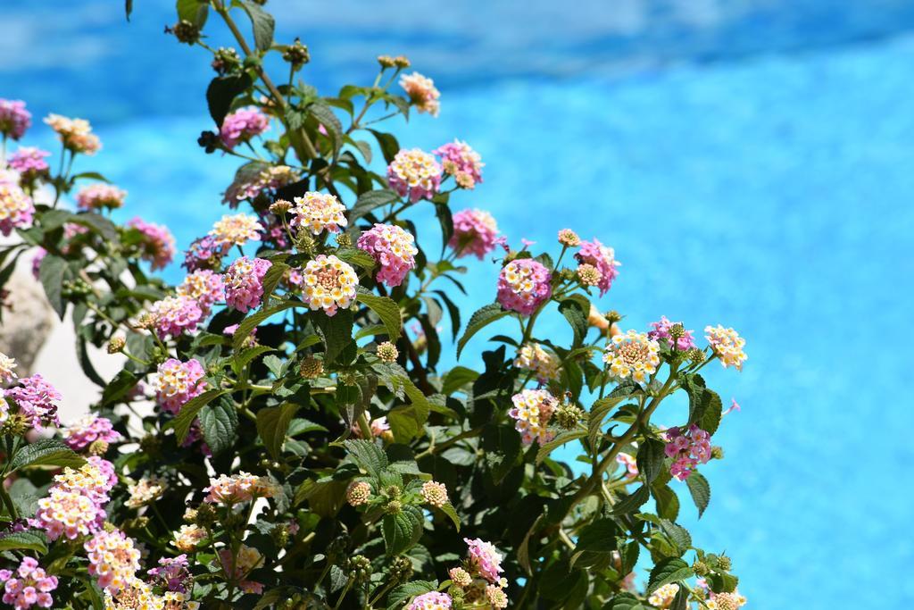 Affittacamere B&B La Villa Dei Graniti ヴィッラシミーウス エクステリア 写真